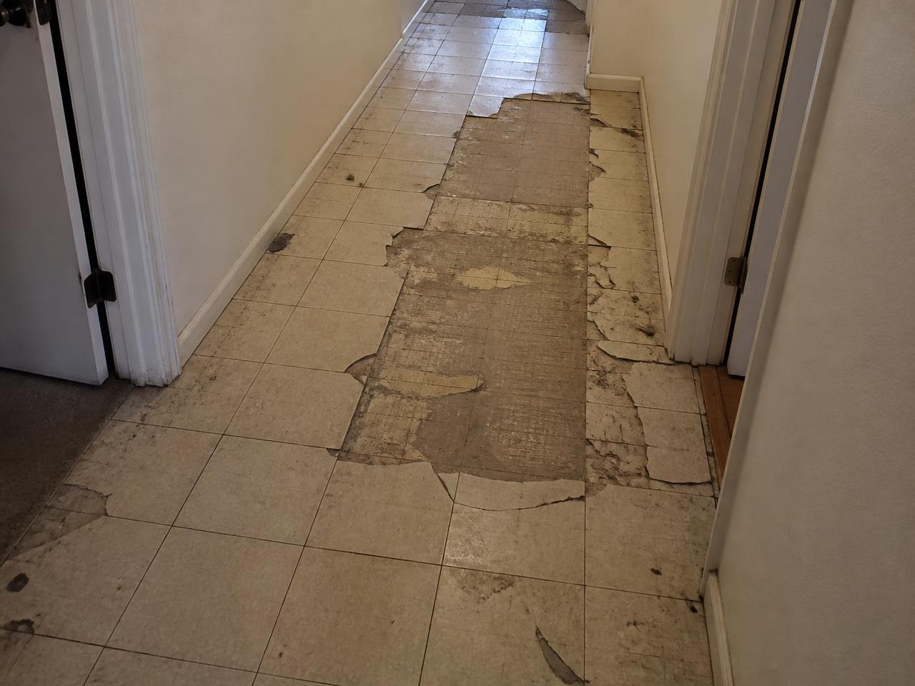 Hallway floor replacement before
